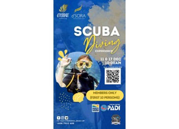 Sport Recreation: Scuba Diving Experience